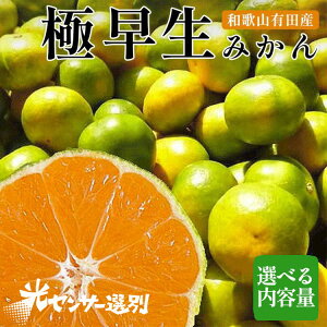 �y�ӂ邳�Ɣ[�Łz�y��s�\��z �_�I�ׂ���e�ʁ^ �������̋ɑ����݂��� �_�ƒ��� �L�@���엿100% �T�C�Y���� �b �݂��� �ɑ��� ���� ���k �ʕ� �������� �ʎ� �t���[�c �a�̎R �L�c