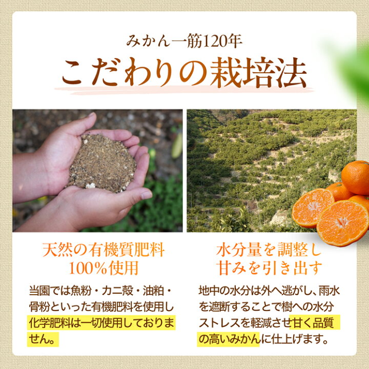 楽天市場】【ふるさと納税】【選べる サイズ・内容量・発送時期】 訳 