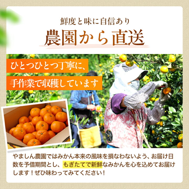 楽天市場】【ふるさと納税】【選べる サイズ・内容量・発送時期】 訳 