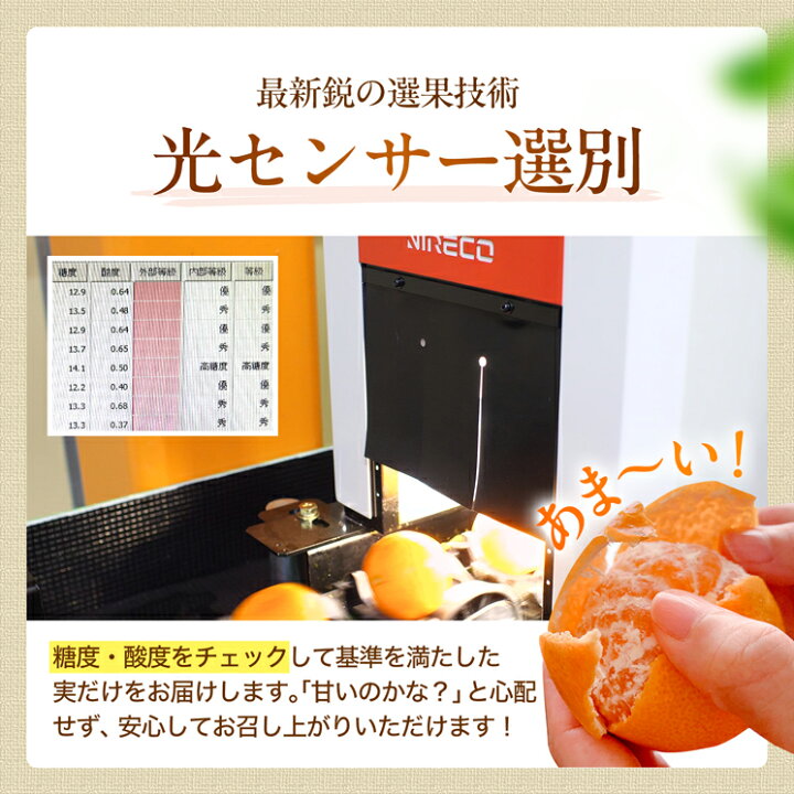 楽天市場】【ふるさと納税】【選べる サイズ・内容量・発送時期】 訳 