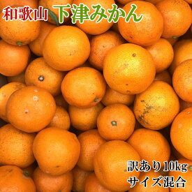 【ふるさと納税】【訳あり】和歌山下津みかん10kgご家庭用向け(サイズ混合)※2024年11月中旬～2025年1月中旬頃に順次発送予定