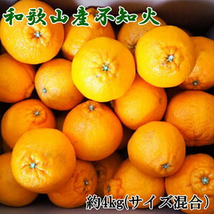 yӂ邳Ɣ[Łza̎RYsmΖ4kgiTCYj2026N2{`4{ɏ\