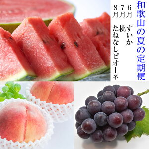 yӂ邳Ɣ[Łzqցry6E7E8 S3za̎R̉Ă̐lCt[ciʃXCJEE˂ȂsI[lj bt[c ӂ[ ʕ  lߍ킹 ʕ  HkC