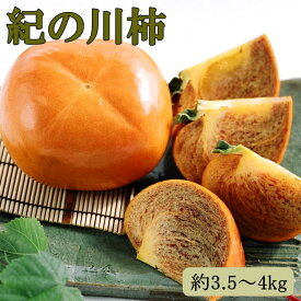 【ふるさと納税】【希少】紀の川柿(種無し)約3.5～4kg・秀品 ｜ フルーツ 果物 くだもの かき カキ 紀ノ川柿 種なし たねなし 刀根早生 平核無柿 黒あま 黒砂糖 樹上完熟 幻の柿 濃厚 甘い コク 秋の味覚 旬 青秀 厳選 先行予約 産地直送 和歌山 美浜町