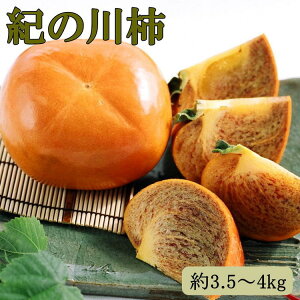 yӂ邳Ɣ[Łzy󏭁zI̐`(햳)3.5`4kgEGi b` JL t[c ʕ a̎R s\  ˂Ȃ Y Yn l2025N10{`11{ɏ\