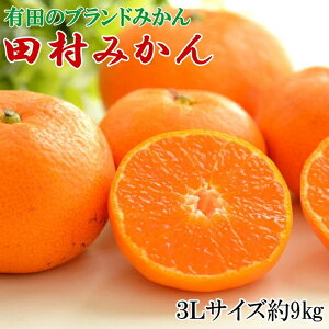 【ふるさと納税】【ブランドみかん】田村みかん大玉約9kg(3Lサイズ)