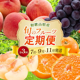 【ふるさと納税】〈定期便〉【7・9・11月 全3回】産直・和歌山フルーツ（桃・ピオーネ・有田みかん）｜フルーツ ふるーつ 果物 くだもの 詰め合わせ 果物定期便 夏 秋※北海道・沖縄・離島への配送不可