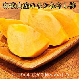 【ふるさと納税】〈定期便〉【10・11・12月 全3回】和歌山産 みかんと柿のお楽しみ 定期便 【ご家庭用】【魚鶴】◇