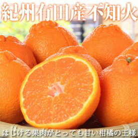 【ふるさと納税】〈定期便〉【2・4・6・8・10・12月 全6回】和歌山産 旬のフルーツ お楽しみ 定期便 【魚鶴】◆｜不知火 清見 スイカ 桃 みかん フルーツ ふるーつ 果物 くだもの 詰め合わせ 果物定期便 オレンジ もも かき 国産 産地直送 美浜町