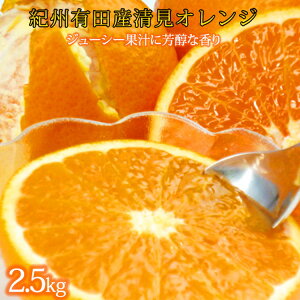 yӂ邳Ɣ[ŁzƂɂW[V[IW@2.5kg2026N3{`2026N4{ɏ\