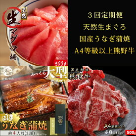 【ふるさと納税】〈毎月定期便〉紀州和歌山うまいもんセットB(生まぐろ・うなぎ蒲焼・熊野牛)全3回 ※離島への配送不可