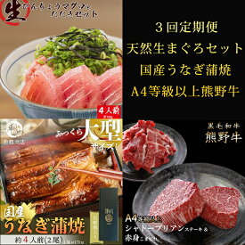【ふるさと納税】〈毎月定期便〉紀州和歌山うまいもんセットC(生まぐろ・うなぎ蒲焼・熊野牛)全3回 ※離島への配送不可