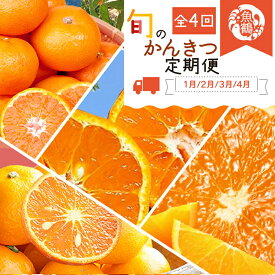 【ふるさと納税】〈定期便〉【1・2・3・4月 全4回】紀州和歌山産旬のご家庭用柑橘セット(みかん・不知火・せとか・清見) ※離島への配送不可