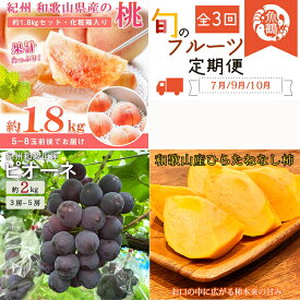【ふるさと納税】〈定期便〉【7・9・10月 全3回】紀州和歌山産旬のフルーツセット(桃・ピオーネ・ひらたねなし柿) ｜フルーツ ふるーつ 果物 くだもの 詰め合わせ 果物定期便 もも ぶどう かき 国産 産地直送 美浜町