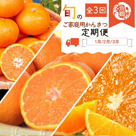 【ふるさと納税】〈定期便〉【1・2・3月 全3回】紀州和歌山産旬のご家庭用柑橘セット(みかん・不知火・清見) | フルーツ 定期便 果物 くだもの フルーツセット みかん 不知火 レモン オレンジ 詰め合わせ 旬の果物 詰め合わせセット 水菓子 グルメ お取り寄せ