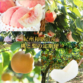 【ふるさと納税】全2回 フルーツ定期便（桃3玉 8月、梨3玉 9月発送） ｜ 和歌山県産 モモ ナシ 旬 果物
