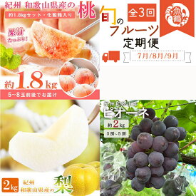 【ふるさと納税】全3回 フルーツ定期便（桃7月、梨8月、ピオーネ9月発送）｜ 和歌山県産 モモ ナシ ぶどう 旬 果物