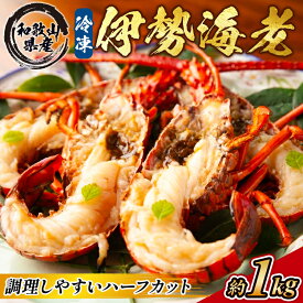 【ふるさと納税】地元産 冷凍伊勢海老カット(サイズ不揃い）約1kg◇｜えび エビ 魚介 海鮮 海産物 和歌山 伊勢海老 伊勢エビ イセエビ 高級 カット 鍋 味噌汁 瞬間冷凍 国産 産地直送 美浜町