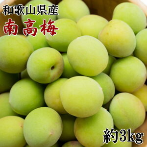 yӂ邳Ɣ[Łzya̎RYz썂~3kg(TCY) 2026N6{`6{ɏ\