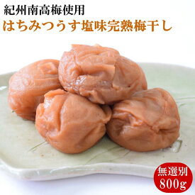 【ふるさと納税】紀州南高梅使用　はちみつうす塩味完熟梅干し 無選別 約800g