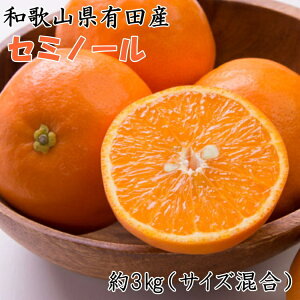 yӂ邳Ɣ[ŁzyZIWza̎RLcYZ~m[3kgiTCY Gij 2026N4{`5{ɏ\