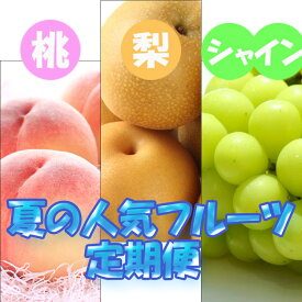 【ふるさと納税】フルーツ 定期便 全3回 【7月・8月・9月発送】 和歌山の夏の人気フルーツをお届け（桃・梨・シャインマスカット） ｜ 桃 葡萄 梨 和歌山県産 国産 果物 旬の果物 産地直送