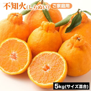 yӂ邳Ɣ[Łzƒp sm (ʂ) TCY 5kg | ݂ k a̎R ݂ sm ʂ ƒp t[c ʕ 5kg 2026N1{`3{ɏ\