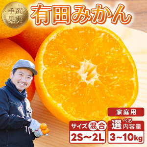 yӂ邳Ɣ[Łzy܂IʁzyIׂeʁza̎RY Lc݂ ƒpb݂ ~J mikan k t[c ʕ 󂠂聦2025N11{`2026N1{ɏ\