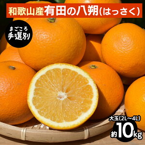 yӂ邳Ɣ[Łzy܂IʁzLĉ͂yz10kg(2L`4L) 2026N1{`3{ɏ\