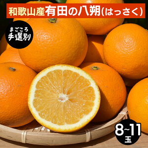 yӂ邳Ɣ[Łzy܂Iʁza̎RYLĉ͂@8`11 2026N1{`3{ɏ\