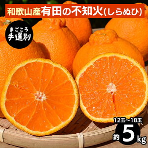 yӂ邳Ɣ[Łzy܂Iʁza̎RY@Lc̕sm(ʂ)5kg(12ʁ`18) 2026N2{`4{ɏ\