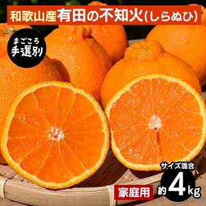 yӂ邳Ɣ[Łzy܂Iʁza̎RY@Lc̕sm(ʂ)4kg(TCY)yƒpz 2026N2{`4{ɏ\