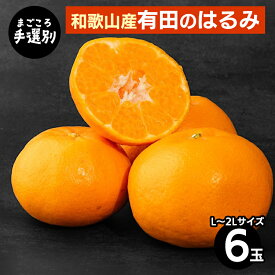 【ふるさと納税】【まごころ手選別】和歌山産　有田のはるみ(L～2Lサイズ) 6玉 1箱 ※2026年1月中旬～2月下旬頃に順次発送予定