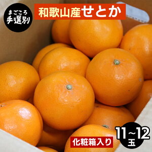 yӂ邳Ɣ[Łzy܂Iʁza̎RY@Ƃ@ϔ@(11`12) 2026N2{`4{菇\