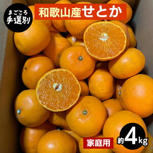 yӂ邳Ɣ[Łzy܂Iʁza̎RY@Ƃ@4kg ƒp 2026N2{`4{菇\
