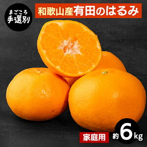 yӂ邳Ɣ[Łzy܂Iʁza̎RYLĉ͂݁@6kg(ƒp) 2026N1{`2{菇\