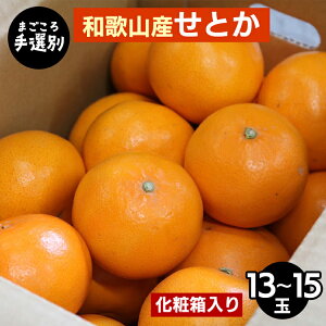 yӂ邳Ɣ[Łzy܂Iʁza̎RY@Ƃ@ϔ@(13`15) 2026N2{`4{菇\
