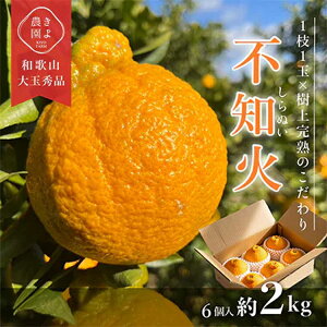 yӂ邳Ɣ[Łzst sm 󏭂Ȏ㊮n! Gi  6bk ʂ t[c ʕ Yn s\ l 2026N2{`3{ɏ\