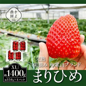 yӂ邳Ɣ[Łzst 嗱 ܂Ђ C`S E 6`11×4pbN bʕ t[c  Yn s\ l2026N1{`3{ɏ\ ւ̔zs