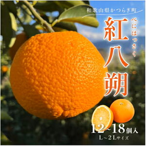 yӂ邳Ɣ[Łzs\!g ͂ 5kg/12`18(L`2LTCY) _ I! bk  t[c ʕ a̎R l2026N1{`2{菇\
