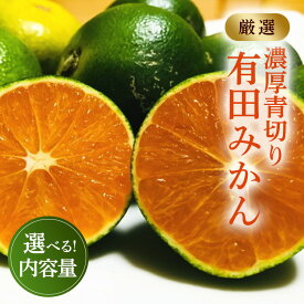 【ふるさと納税】【先行予約】【選べる内容量】厳選！濃厚青切り有田みかん　※2024年9月中旬～10月中旬頃に順次発送予定※着日指定不可