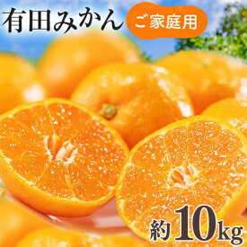 【ふるさと納税】【先行予約】【数量限定】濃厚有田みかん（ご家庭用）10kg 【2024年11月上旬～11月下旬頃発送】または【2024年12月上旬～12月下旬頃発送】※北海道・沖縄・離島への配送不可