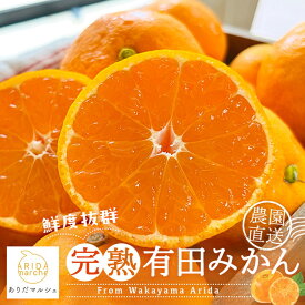 【ふるさと納税】【先行受付 2026年11月～発送】選べる発送月・内容量 農園直送!完熟有田みかん