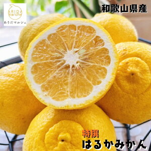 yӂ邳Ɣ[ŁzyIׂeʁzyIz͂邩 b  k ʕ t[c  ʎ Y a̎R