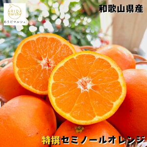 yӂ邳Ɣ[ŁzyIׂeʁzyzZ~m[ b ݂   ӊ k a̎R