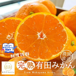 yӂ邳Ɣ[Łzyst 2025N11`zIׂ锭Ee _!nLc݂ kCEEւ̔zs 2025N11{`12{菇\
