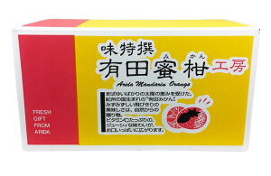 和歌山有田産中玉みかん約10kg