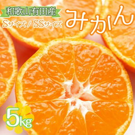 【ふるさと納税】【ご家庭用】和歌山有田みかん約5kg(SS、Sサイズ) ◇| みかん ミカン mikan 有田みかん s ss 5kg 柑橘 温州ミカン 温州みかん 先行予約※北海道・沖縄・離島への配送不可※2024年10月中旬～2025年1月下旬頃に順次発送予定