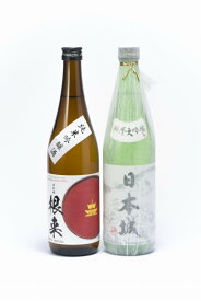 【ふるさと納税】「日本城」純米大吟醸酒と純米吟醸酒「根来」720ml飲み比べセット