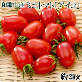 【ふるさと納税】【4月出荷分】和歌山産ミニトマト「アイコトマト」約2kg（S・Mサイズおまかせ）　※北海道、沖縄、離島への配送不可　※2025年4月上旬～4月下旬頃に順次発送予定